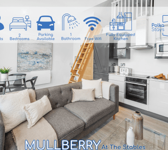 mullberry